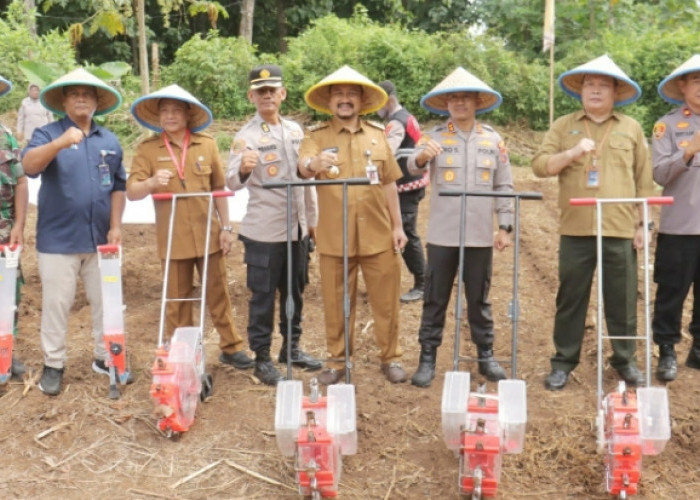 Polres Pemalang Tanam Jagung Sistem Tumpangsari di Lahan Seluas 2,7 Hektare