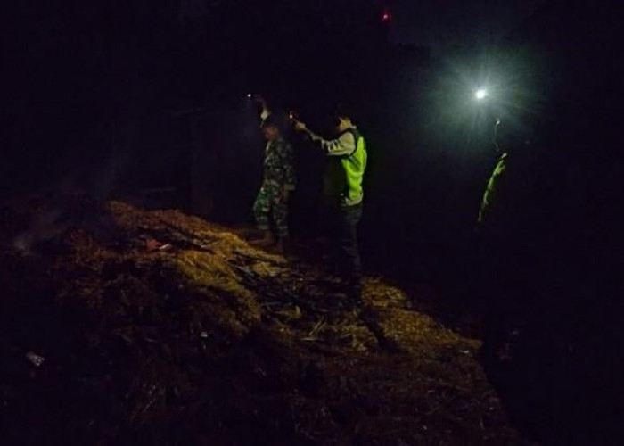 Gudang Penyimpanan Pakan Ternak di Pulokulon Grobogan Ludes Terbakar, Kerugian Capai Puluhan Juta