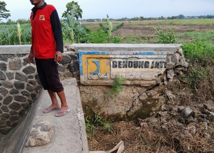 Bendung di Desa Jatibogor Kabupaten Tegal Rusak, Irigasi Tidak Berfungsi 