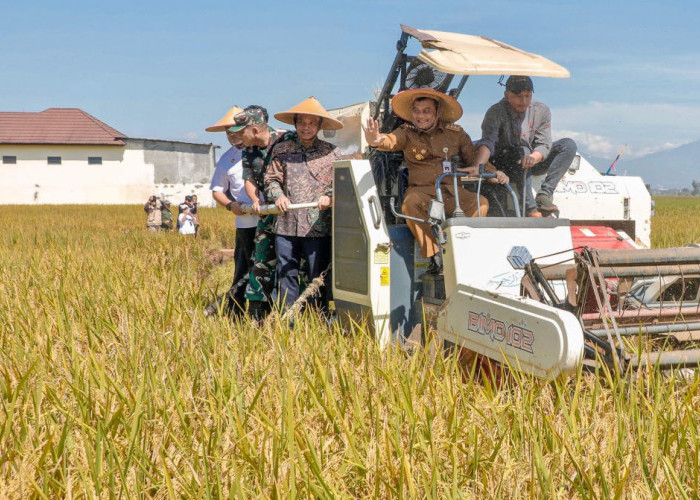 Ancaman Pidana hingga Insentif PBB, Strategi Pemprov Jateng Lindungi Sawah Demi Swasembada Pangan 2026
