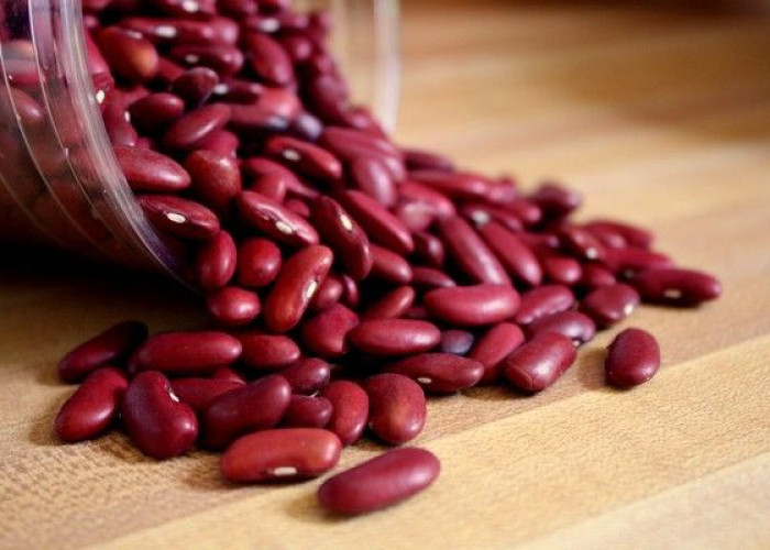 7 Manfaat Hebat Kacang Merah Bagi Kesehatan, Kaya Protein dan Antioksidan