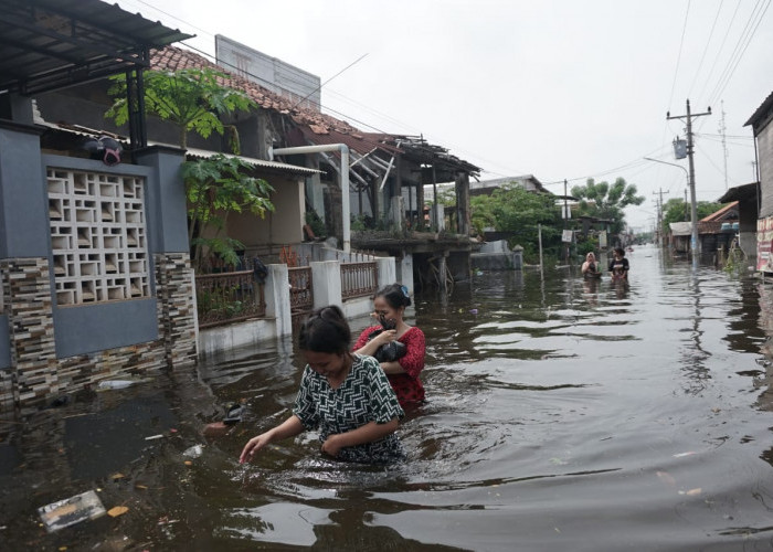 Banjir Pekalongan, 300 Warga Mengungsi, Walikota Cek Lokasi Tanggul Jebol