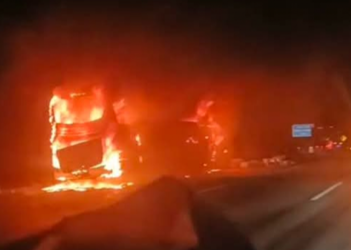 Menyisakan Kerangka, Bus PO Tunggal Dara Terbakar di Tol Bawen-Ungaran, 14 Penumpang  Selamat