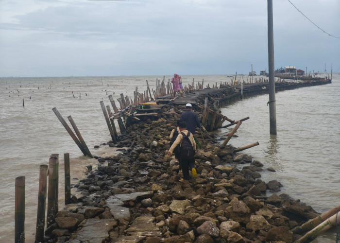 Demi Sekolah, Anak-anak Tambaksari Demak Berjuang Lewati Jalan Rusak di Tengah Abrasi