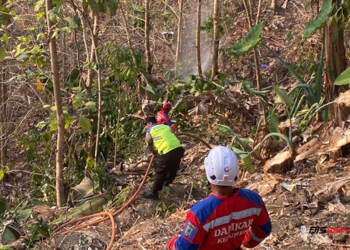 Lahan Perbukitan di Sruweng Kebumen Terbakar, 1,5 Hektare dan 50 Pohon Jenitri Ludes