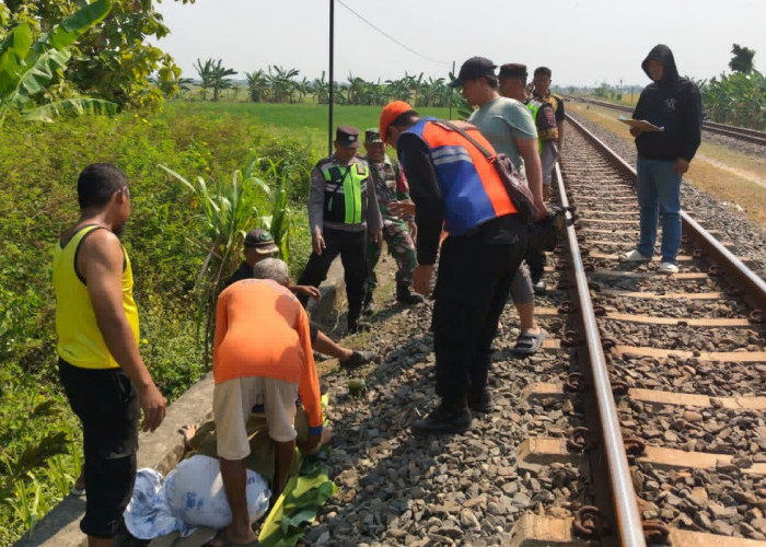 Pulang Ziarah, Seorang Lansia Ditemukan Tewas Tertemper Kereta Api di Kwaron Gubug