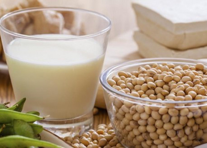 5 Macam susu ini bermanfaat turunkan kadar kolesterol Apa Anda Sudah Tahu?