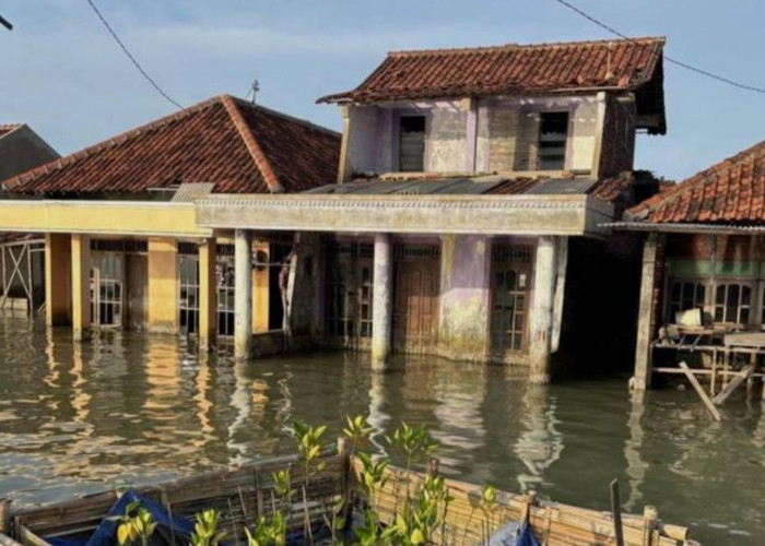 Abrasi Timbulsloko Disebut Capai 279 Meter per Tahun, Daratan Terus Terancam