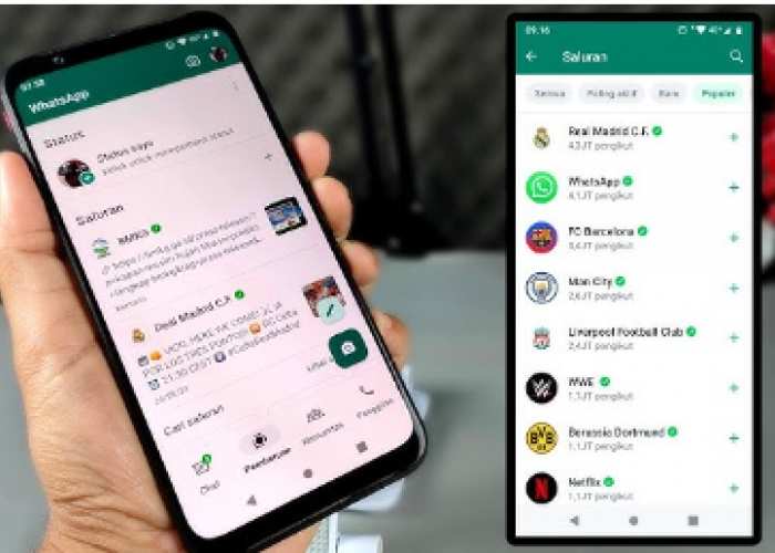 Mengenal Fitur WhatsApp Channel dan Fungsinya