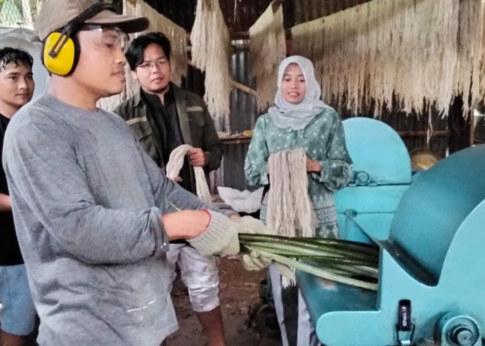 Inisiasi dan Kontribusi Pengembangan Serat Nanas, KPwBI Tegal Terima Apresiasi KemenUMKM RI