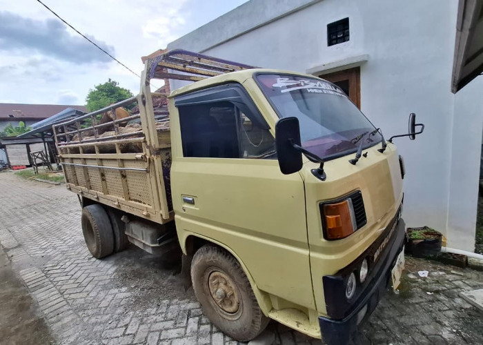 Diduga Angkut 11 Batang Kayu Hasil Illegal Logging, Supir Truk di Wirosari Grobogan Dibekuk Polisi