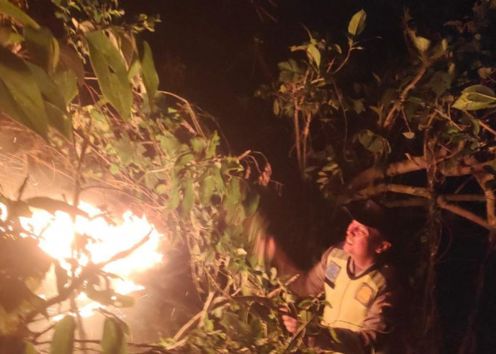 Kebakaran Hutan Pinus di Sadang Kebumen Berhasil Dipadamkan Setelah 10 Jam, Api Sempat Berkobar Lagi