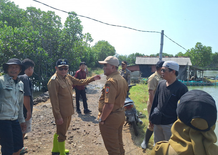 Banjir Rob Tunggulsari Pati Diperparah Pembangunan Ratusan Sumur Bor 