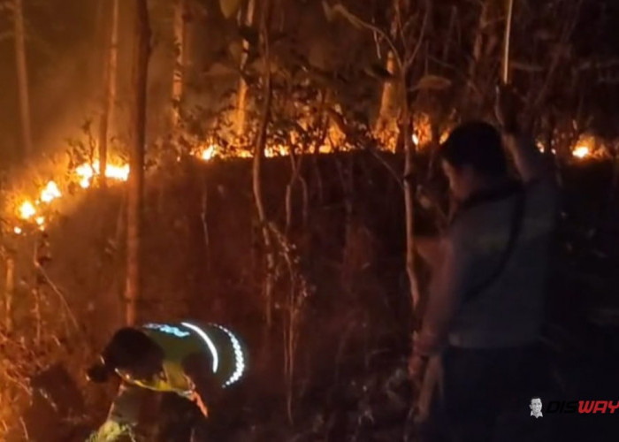 Dua Kebakaran Landa Kebumen dalam Semalam, 3 Hektare Lahan Terbakar