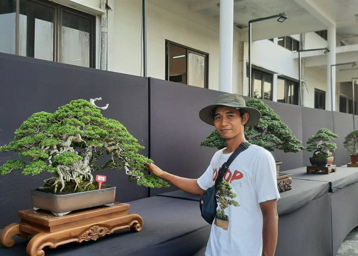 Pameran Bonsai Nasional di Rembang Diikuti Ratusan Peserta dari Berbagai Wilayah