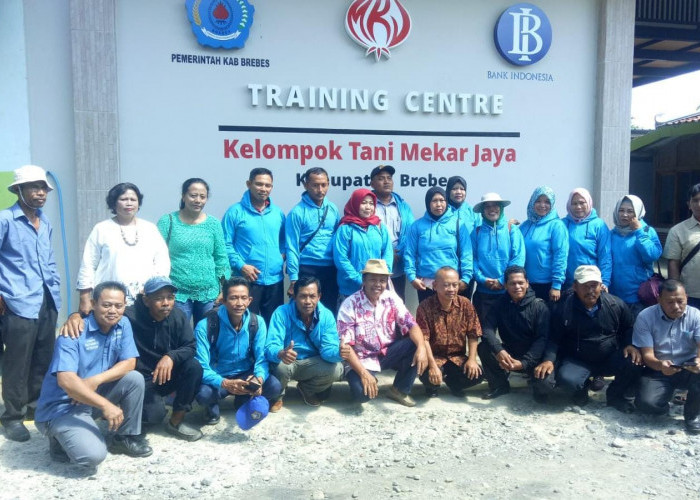 Wujudkan Klaster Bawang Merah di Brebes, Kelompok Tani Mekar Jaya Mandiri Berdikari dan Berkesinambungan