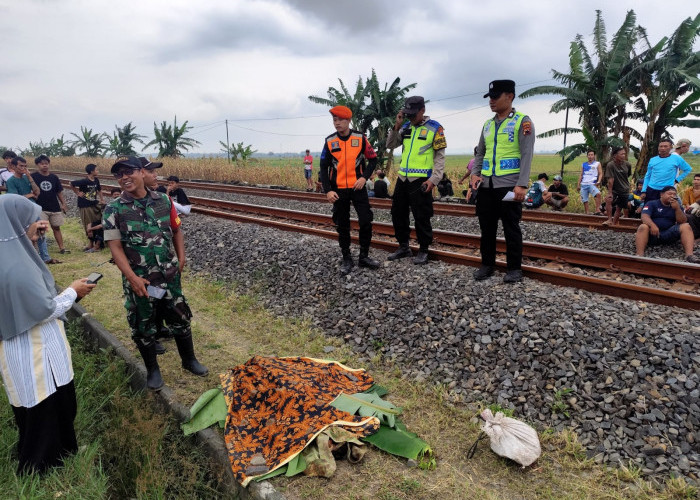 Lansia Tewas Tertabrak Kereta Api di Grobogan, Korban Bawa Karung Berisi Uang Rp 25.5 Juta