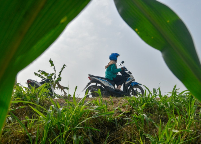Agen Pesiar menjadi ujung tombak di lapangan terkait pelaksanaan program Jaminan Kesehatan Nasional (JKN). Di Kabupaten Grobogan sendiri terdapat total 48 orang Agen Pesiar yang selalu siap bergerak hingga ke pelosok desa. (Achmad Fazeri/Disway Jateng)