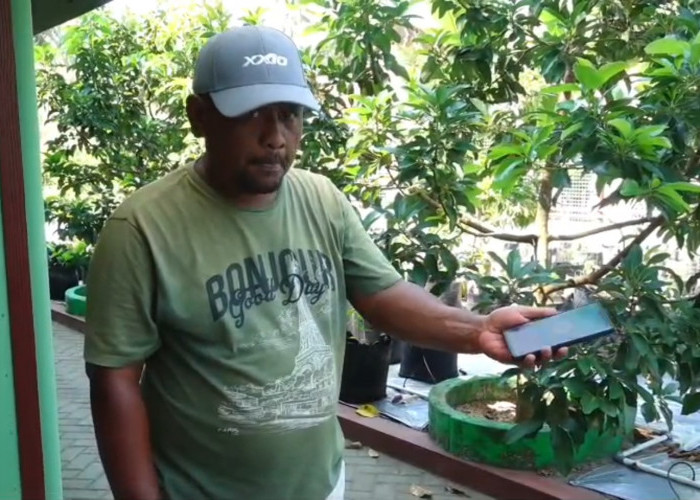 Kebun Digital di Kebumen, Bertani Kini Cukup Lewat Genggaman Tangan