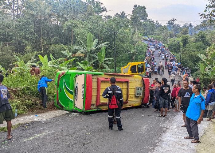 Bus Rombongan Ziarah asal Demak Terperosok di Jalan Menikung Blado Batang, 3 Orang Terluka