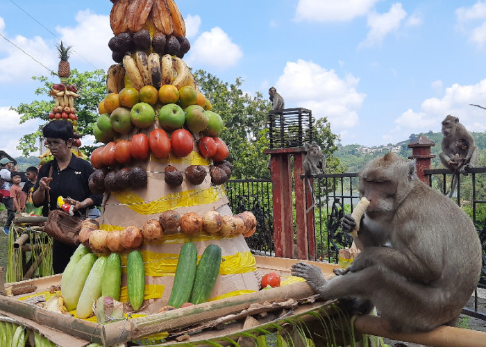 Meriah dan Sarat Makna! Tradisi Sesaji Rewanda Goa Kreo Semarang Kilas Sejarah Monyet Penjaga Sunan Kalijaga