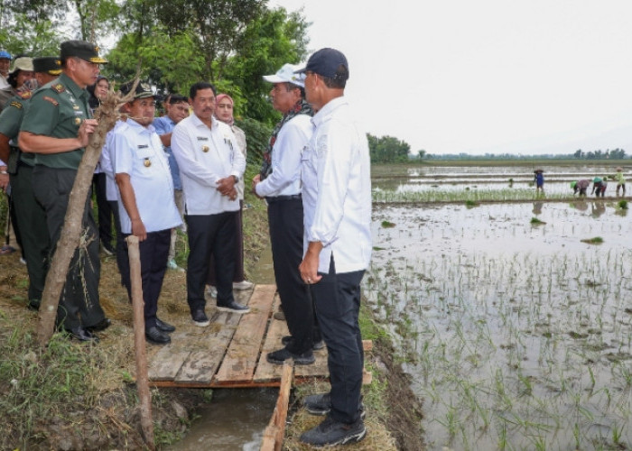 Kementan Turunkan Tim Penuntasan Distribusi Pupuk, Pj Gubernur Jawa Tengah Siap untuk Mengawasi 