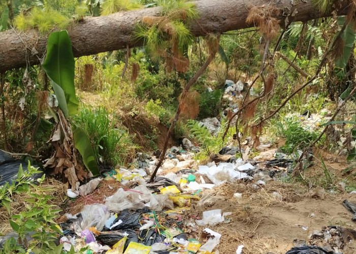Sampah Dapur SPPG Dawuhan Diduga Dibuang ke Kawasan Hutan, Aktivis Jaga Rimba Bereaksi  