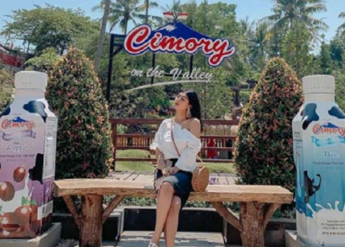 Cimory On The Valley: Surga Susu dan Wisata Seru di Tengah Lembah Semarang