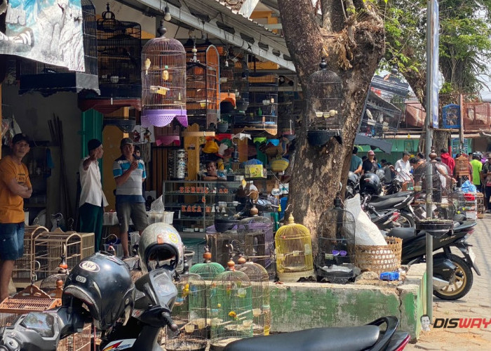 Pasar Koplak Kebumen, Jejak Pangkalan Dokar yang Kini Jadi Buruan Penghobi Burung