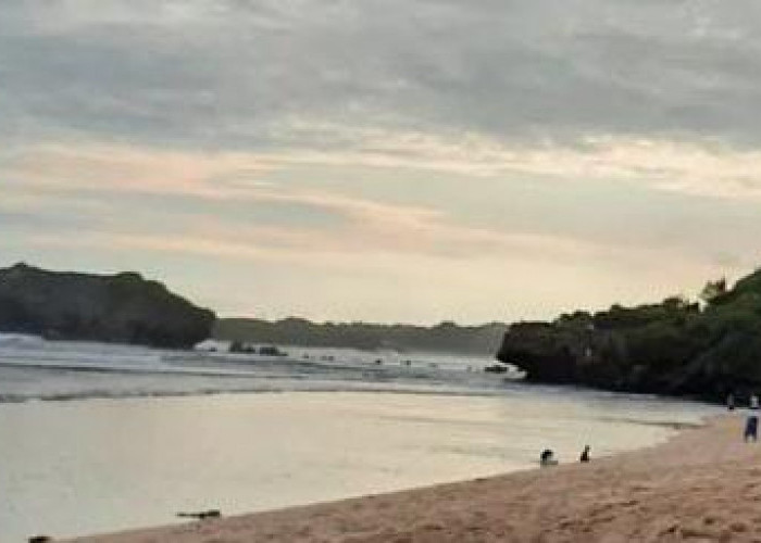 Pantai Sundak Jogja: Cerita Sejarah Menarik Tentang Perkelahian Hewan 