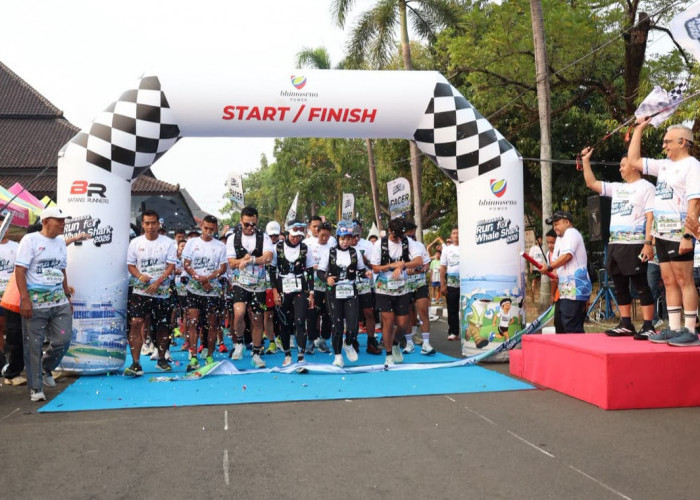 Ratusan Peserta Ikuti Bhimasena Run Whale Shark 6K di Batang, Hiu Paus Jadi Pesan Utama 