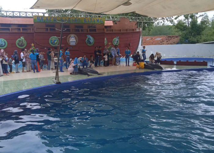 Safari Beach Jateng di Batang Diserbu Ribuan Wisatawan di Awal 2026, Lumba-Lumba Jadi Magnet 
