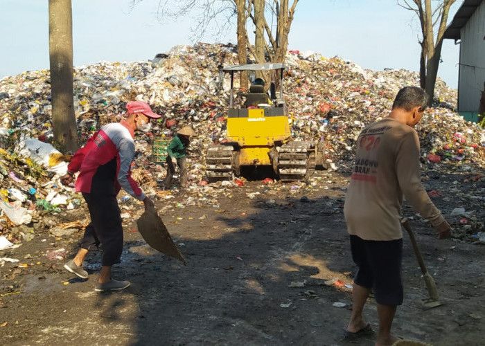 Gunungan Sampah TPA Tanjungrejo Kudus Tak Terkendali, Lahan Pertanian Tercemar Polusi 