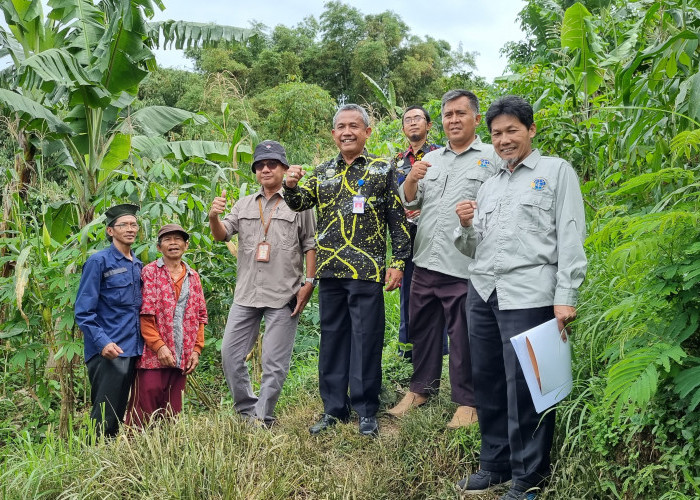 Usulkan Tanah Eks HGU Dilepas dari Daftar Tanah Terlantar