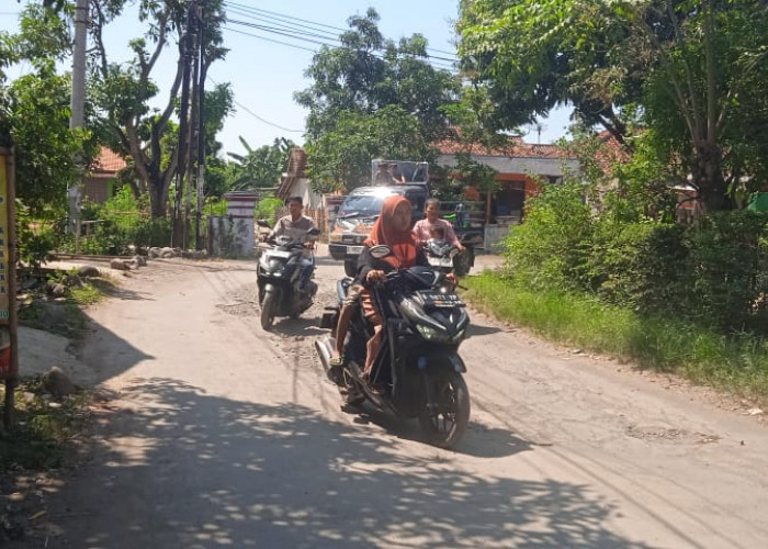 Jalan Harjasari-Jatimulya Suradadi Kabupaten Tegal Rusak Parah
