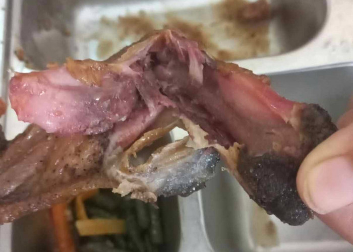 Ayam Bau dan Merah, SD Kalipancur 02 Blado Batang Kembalikan 133 Porsi MBG