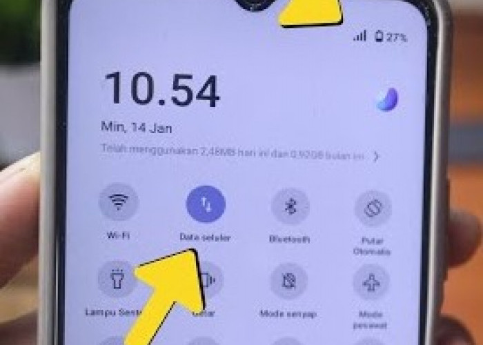 Cara Mengaktifkan Data Seluler yang Hilang di Ponsel 