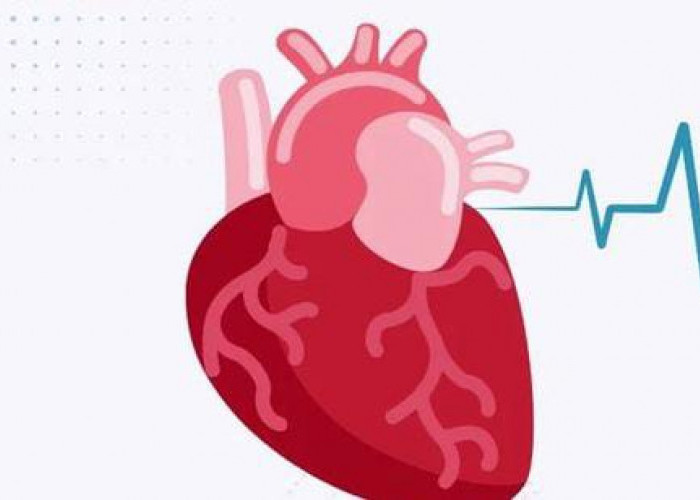 Berbagai tanda kalian Harus Segera Periksa Kesehatan Jika Mempunyai Riwayat Penyakit Jantung 