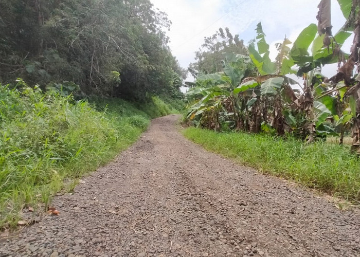 Viral di Medsos, Jalan Penghubung Empat Desa di Subah Batang Rusak Parah