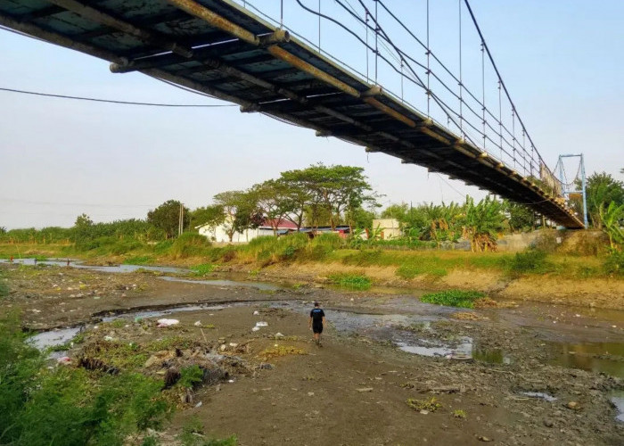 Debit Sungai Silugonggo Menyusut, Puluhan Hektar Sawah dan UMKM Wisata di Pati Terancam