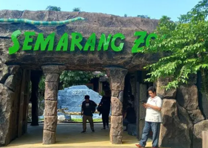 6 Kebun Binatang di Jawa Tengah yang Menjadi Destinasi Terbaik untuk Wisata Edukasi Satwa