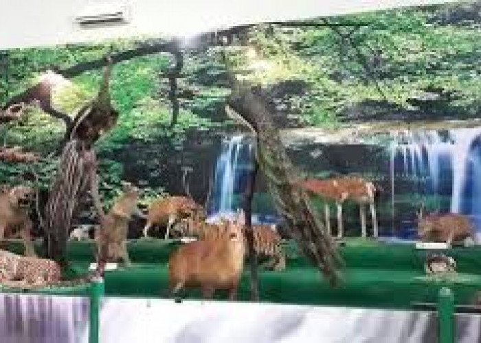 Wisata Keluarga! Kebun Binatang Semarang Zoo, Salah Satu Destinasi Wisata Edukasi Terbaik di Semarang