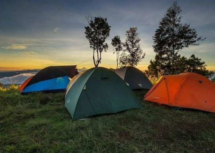 4 Rekomendasi Tempat Camping di Purbalingga, Menawarkan Menginap di Tengah Hutan Pinus