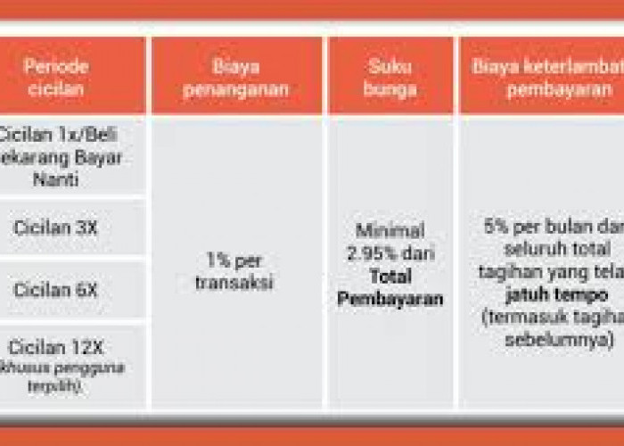 Inilah Fakta Menarik tentang Cicilan Shopee Paylater