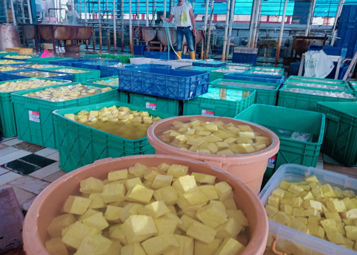 Harga Kedelai Impor Naik Imbasnya Perang Timur Tengah, Perajin Tahu di Klaten Khawatir Suplay ke SPPG Mandeg