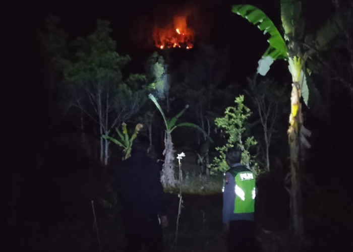 Lahan 0,4 Hektare Terbakar di Karanggayam Kebumen, Api Dipadamkan Secara Manual