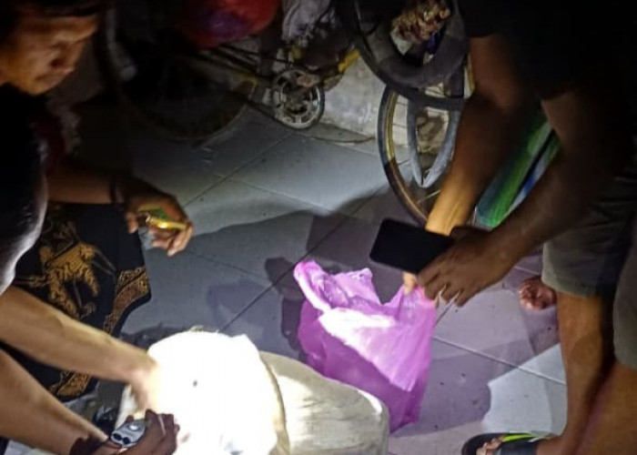 Temuan 15,5 Kg Bahan Peledak di Kudus Bikin Merinding, Polisi Ringkus Tiga Tersangka