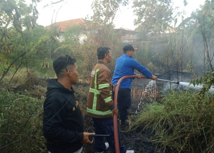 Lahan di Kampung Warteg Terbakar, Petugas Damkar Kabupaten Tegal Gercep ke Lokasi