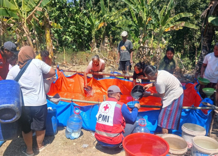 Dua Pekan, PMI Grobogan Salurkan 145.000 Liter Air Bersih untuk Warga Terdampak Kekeringan