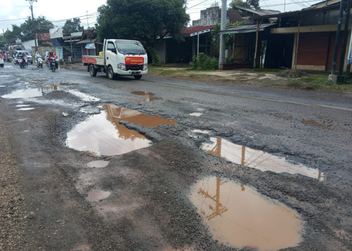 Jalan Berlubang Ancam Nyawa Pengendara, Tim Klinik DPUPR Jepara Tangani Jalan Rusak